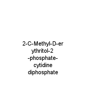 2-C-Methyl-D-erythritol-2-phosphate-cytidine diphosphate